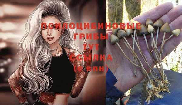 spice Нязепетровск