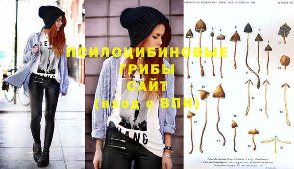 spice Нязепетровск