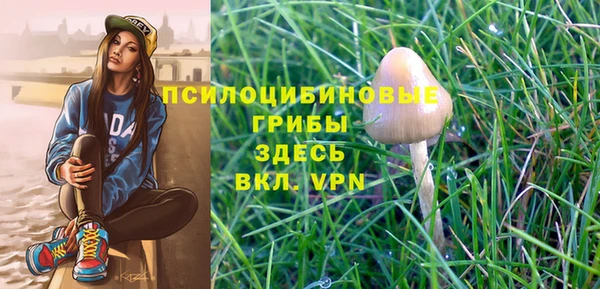 spice Нязепетровск