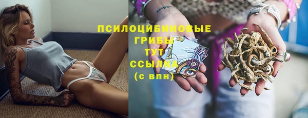 apvp Осинники