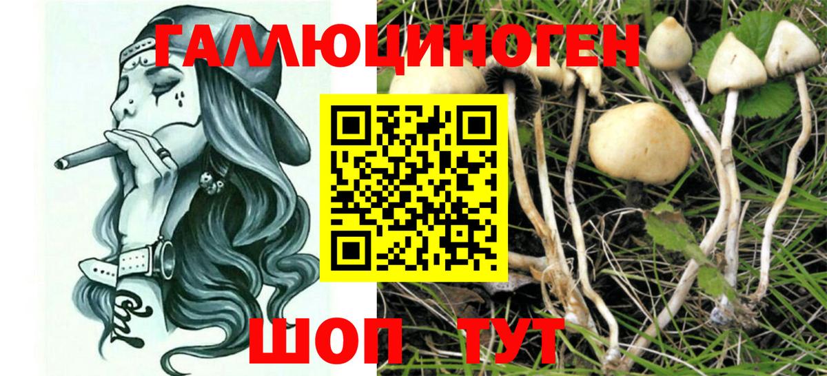 Псилоцибиновые грибы GOLDEN TEACHER  Вход с VPN  Нягань 