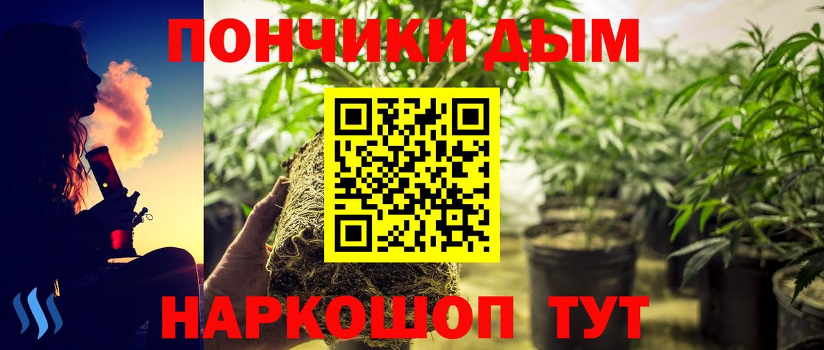 Бошки Шишки Amnesia Нягань